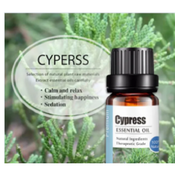 Best price CAS 8013-86-3 BCypress oil extract sale